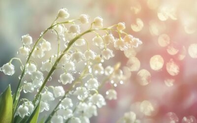 Unveiling the Royal Tradition of Gifting Lily-of-the-Valley: A Symbol of Elegance and Fortune